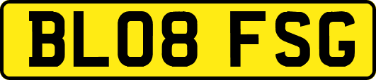 BL08FSG