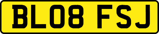 BL08FSJ
