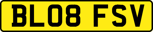 BL08FSV