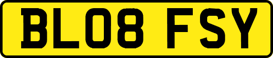 BL08FSY