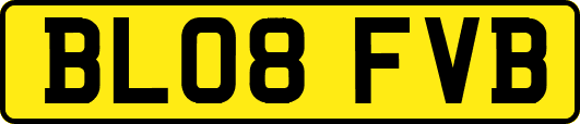 BL08FVB