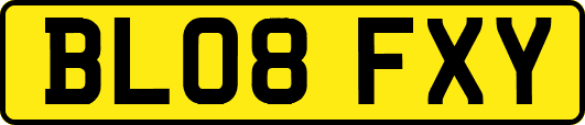 BL08FXY