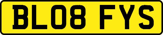 BL08FYS