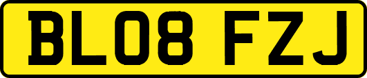 BL08FZJ