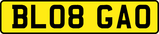 BL08GAO