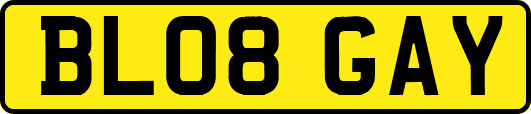 BL08GAY