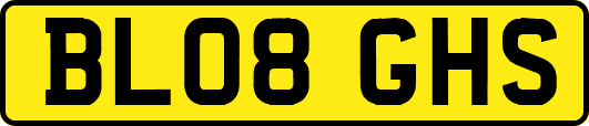 BL08GHS