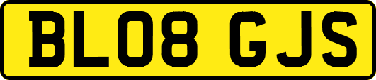 BL08GJS