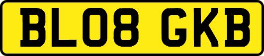 BL08GKB