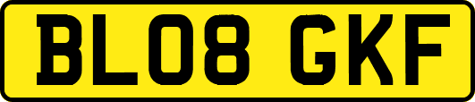 BL08GKF