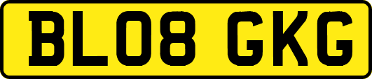 BL08GKG