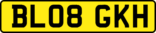 BL08GKH