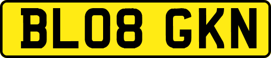 BL08GKN