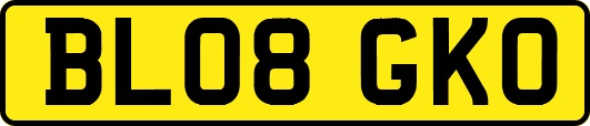 BL08GKO