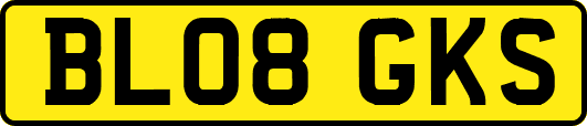 BL08GKS