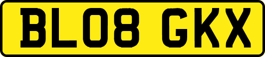 BL08GKX