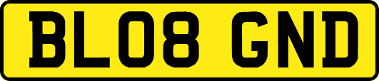 BL08GND