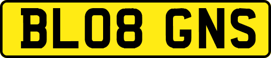 BL08GNS