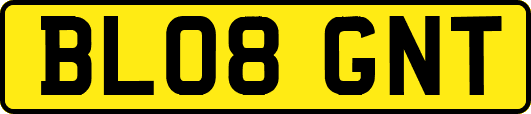 BL08GNT
