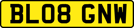 BL08GNW