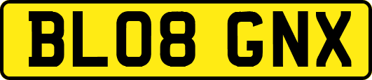 BL08GNX