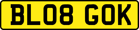 BL08GOK