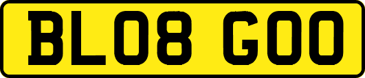 BL08GOO