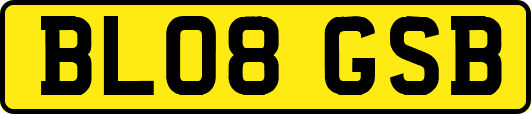 BL08GSB
