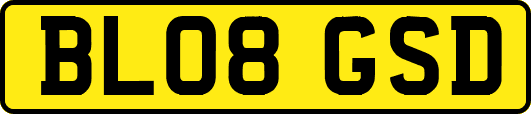 BL08GSD