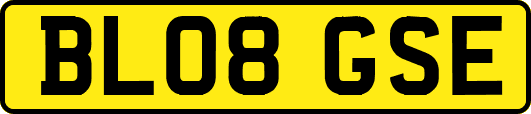 BL08GSE