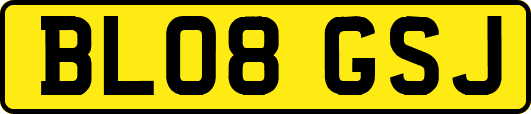 BL08GSJ