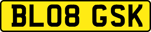 BL08GSK