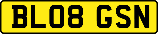 BL08GSN