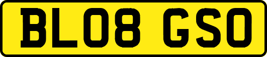 BL08GSO