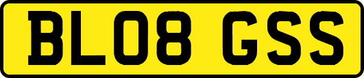 BL08GSS