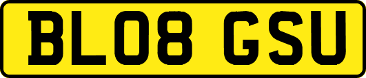 BL08GSU