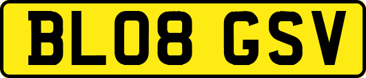 BL08GSV