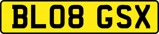 BL08GSX