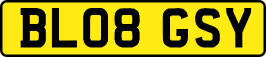 BL08GSY