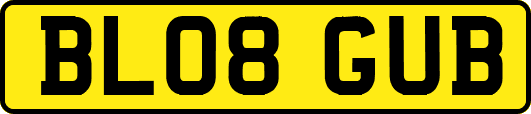 BL08GUB