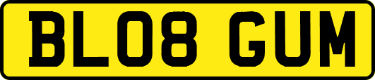 BL08GUM
