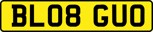 BL08GUO