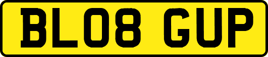BL08GUP