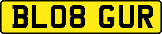 BL08GUR