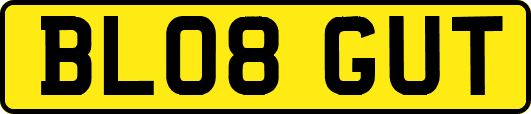BL08GUT