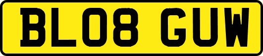 BL08GUW