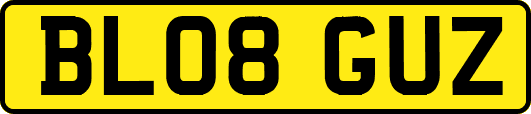 BL08GUZ