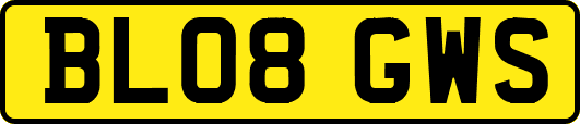 BL08GWS