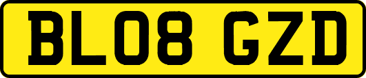 BL08GZD