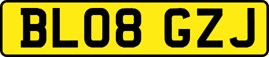 BL08GZJ